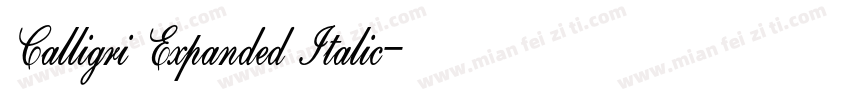 Calligri Expanded Italic字体转换